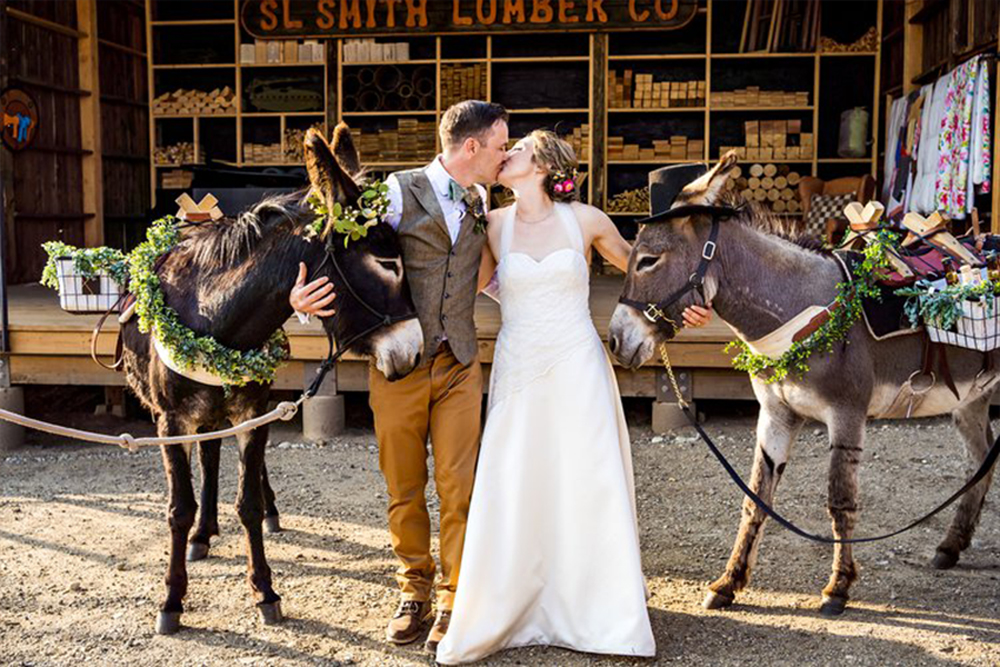 couples-kissing-with-donkeys