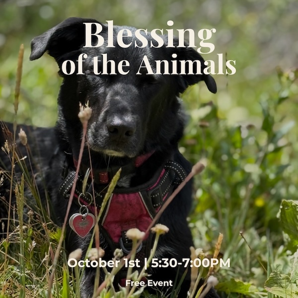 Blessing of the Animals - 1
